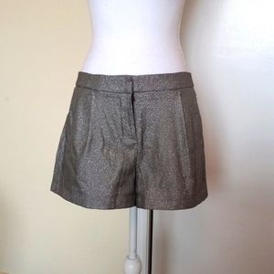 🤍🏃‍♀️Jennifer Lopez Sexy Silver Short Shorts Polyester Spandex Front Zip Sz 10